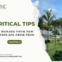Critical Tips To Manage Your New Landscape From Pros
