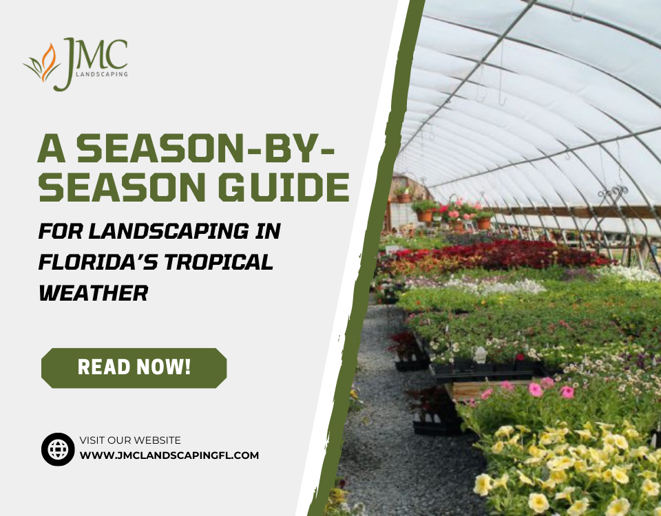A Season-By-Season Guide For Landscaping In Florida’s Tropical Weather