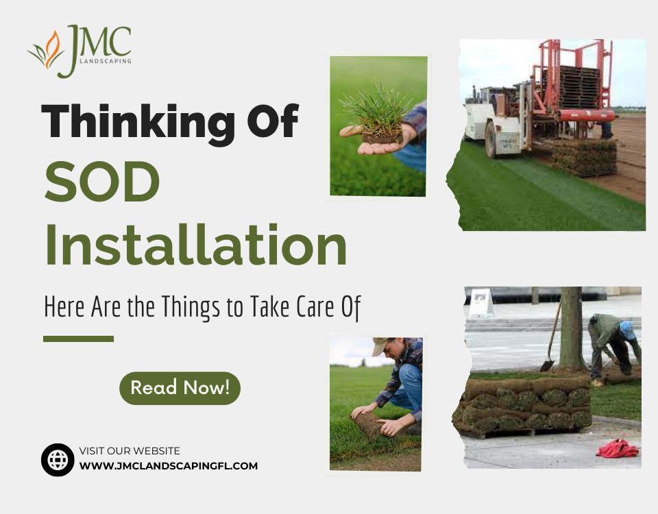 Thinking Of SOD Installation Here Are the Things to Take Care Of